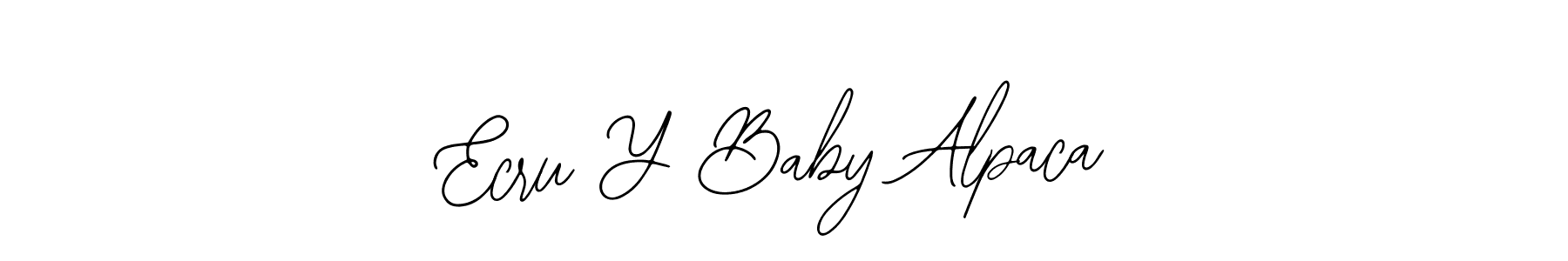 You should practise on your own different ways (Bearetta-2O07w) to write your name (Ecru Y Baby Alpaca) in signature. don't let someone else do it for you. Ecru Y Baby Alpaca signature style 12 images and pictures png