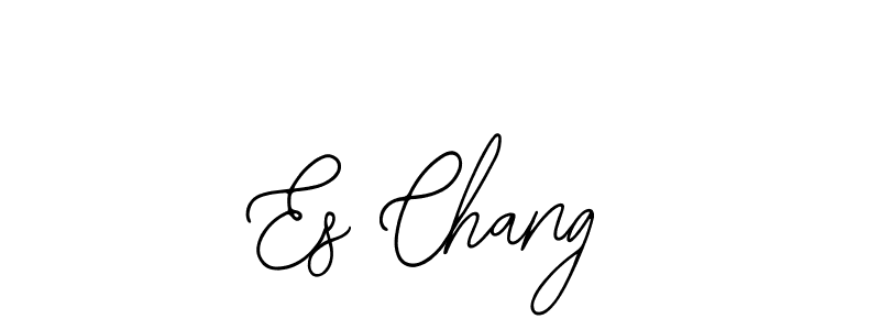 You should practise on your own different ways (Bearetta-2O07w) to write your name (Es Chang) in signature. don't let someone else do it for you. Es Chang signature style 12 images and pictures png