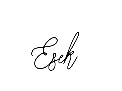 Esek stylish signature style. Best Handwritten Sign (Bearetta-2O07w) for my name. Handwritten Signature Collection Ideas for my name Esek. Esek signature style 12 images and pictures png