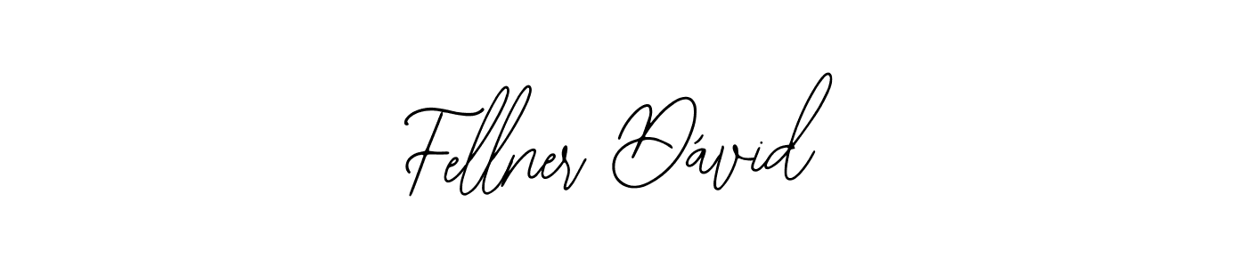 Once you've used our free online signature maker to create your best signature Bearetta-2O07w style, it's time to enjoy all of the benefits that Fellner Dávid name signing documents. Fellner Dávid signature style 12 images and pictures png