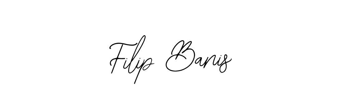 You should practise on your own different ways (Bearetta-2O07w) to write your name (Filip Banis) in signature. don't let someone else do it for you. Filip Banis signature style 12 images and pictures png