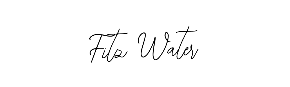 Create a beautiful signature design for name Fitz Water. With this signature (Bearetta-2O07w) fonts, you can make a handwritten signature for free. Fitz Water signature style 12 images and pictures png