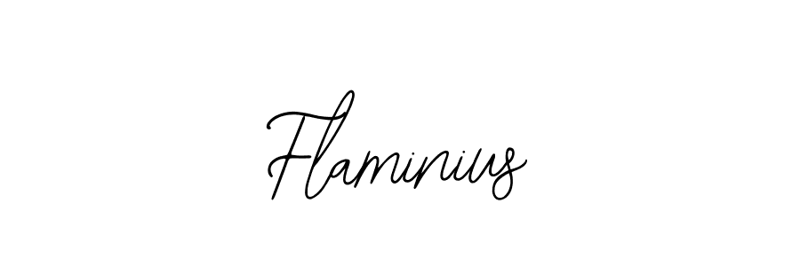 You should practise on your own different ways (Bearetta-2O07w) to write your name (Flaminius) in signature. don't let someone else do it for you. Flaminius signature style 12 images and pictures png