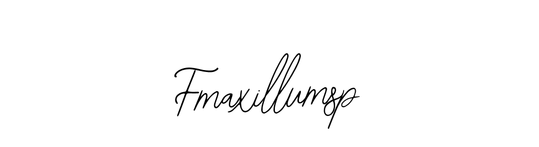 Design your own signature with our free online signature maker. With this signature software, you can create a handwritten (Bearetta-2O07w) signature for name Fmaxillumsp. Fmaxillumsp signature style 12 images and pictures png