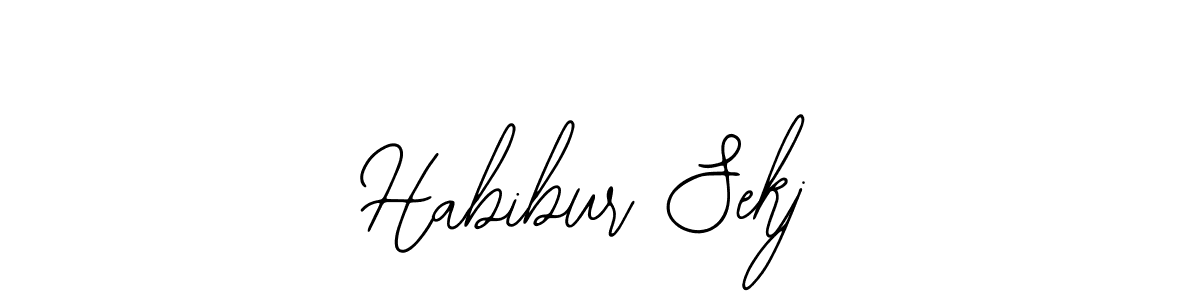 Here are the top 10 professional signature styles for the name Habibur Sekj. These are the best autograph styles you can use for your name. Habibur Sekj signature style 12 images and pictures png