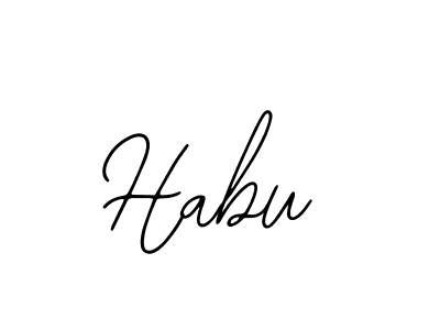 You should practise on your own different ways (Bearetta-2O07w) to write your name (Habu) in signature. don't let someone else do it for you. Habu signature style 12 images and pictures png