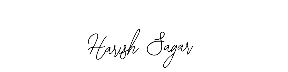 You should practise on your own different ways (Bearetta-2O07w) to write your name (Harish Sagar) in signature. don't let someone else do it for you. Harish Sagar signature style 12 images and pictures png