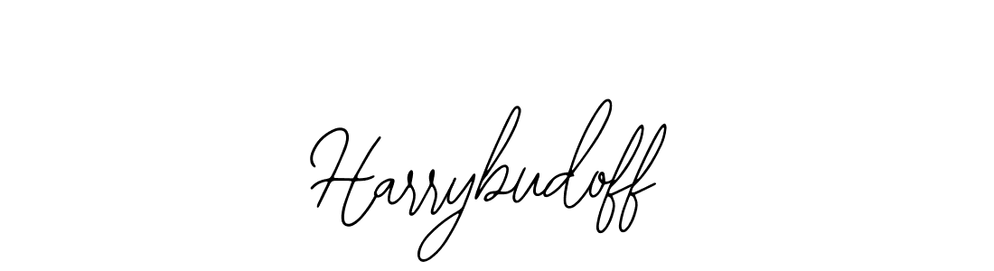Here are the top 10 professional signature styles for the name Harrybudoff. These are the best autograph styles you can use for your name. Harrybudoff signature style 12 images and pictures png
