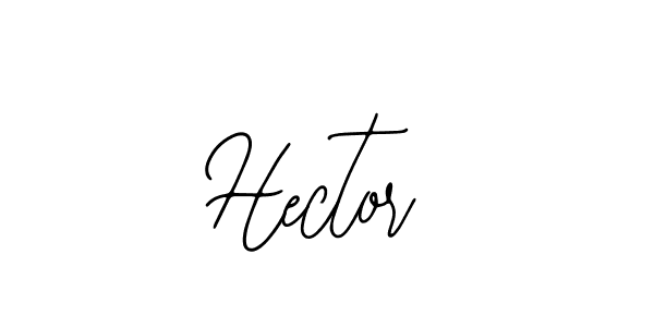 Make a beautiful signature design for name Hector. Use this online signature maker to create a handwritten signature for free. Hector signature style 12 images and pictures png