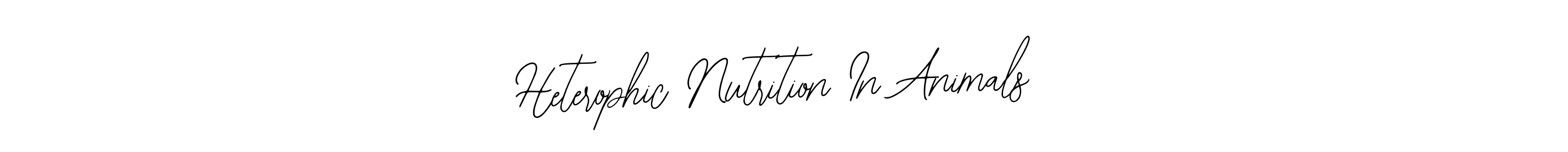 You should practise on your own different ways (Bearetta-2O07w) to write your name (Heterophic Nutrition In Animals) in signature. don't let someone else do it for you. Heterophic Nutrition In Animals signature style 12 images and pictures png