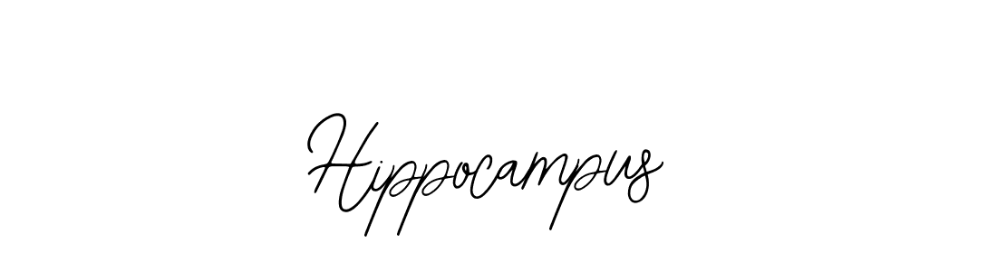 How to make Hippocampus name signature. Use Bearetta-2O07w style for creating short signs online. This is the latest handwritten sign. Hippocampus signature style 12 images and pictures png