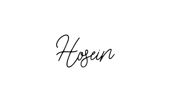 Make a beautiful signature design for name Hosein. Use this online signature maker to create a handwritten signature for free. Hosein signature style 12 images and pictures png