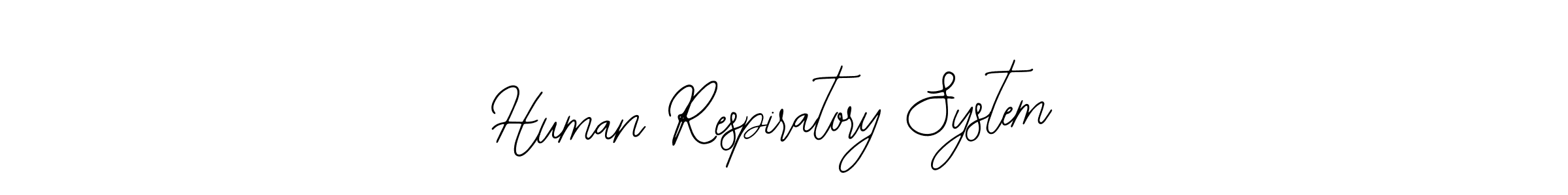 Make a beautiful signature design for name Human Respiratory System. With this signature (Bearetta-2O07w) style, you can create a handwritten signature for free. Human Respiratory System signature style 12 images and pictures png