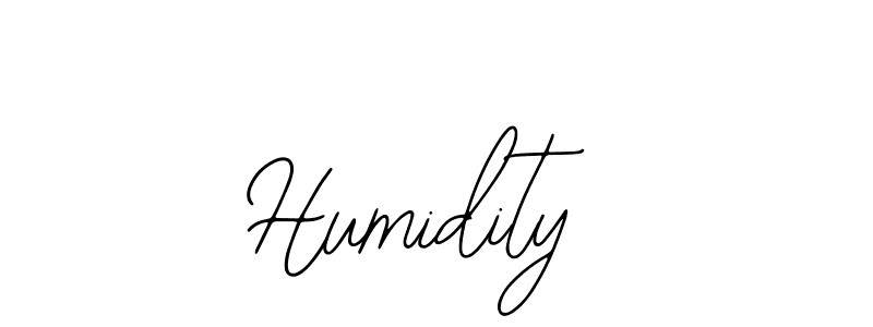 Design your own signature with our free online signature maker. With this signature software, you can create a handwritten (Bearetta-2O07w) signature for name Humidity. Humidity signature style 12 images and pictures png