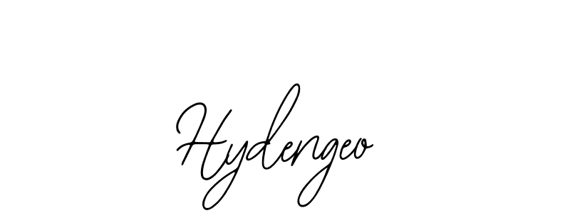 You should practise on your own different ways (Bearetta-2O07w) to write your name (Hydengeo) in signature. don't let someone else do it for you. Hydengeo signature style 12 images and pictures png