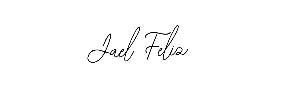 You should practise on your own different ways (Bearetta-2O07w) to write your name (Jael Feliz) in signature. don't let someone else do it for you. Jael Feliz signature style 12 images and pictures png