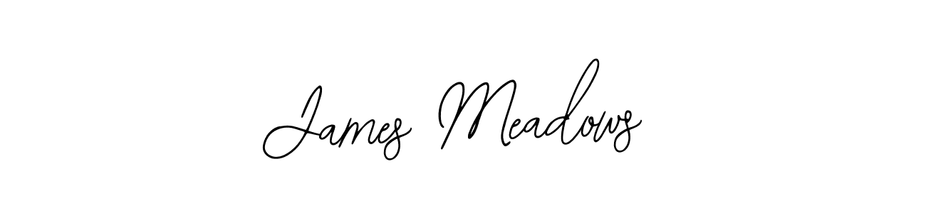 Make a beautiful signature design for name James Meadows. With this signature (Bearetta-2O07w) style, you can create a handwritten signature for free. James Meadows signature style 12 images and pictures png