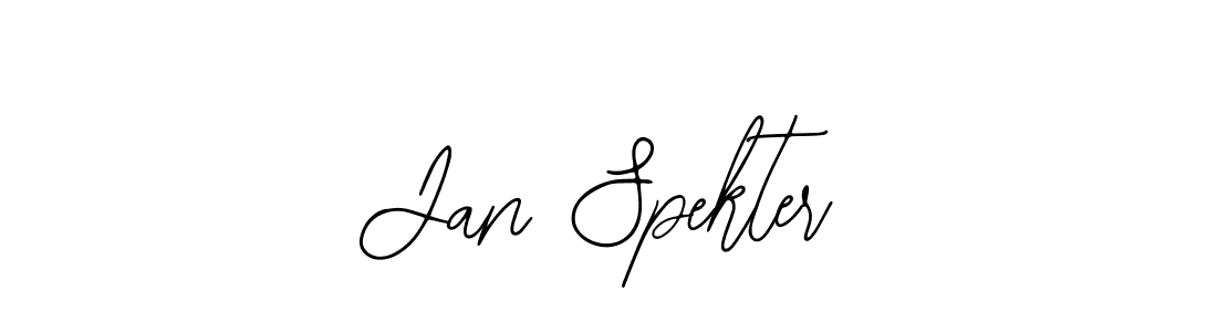 Make a beautiful signature design for name Jan Spekter. Use this online signature maker to create a handwritten signature for free. Jan Spekter signature style 12 images and pictures png