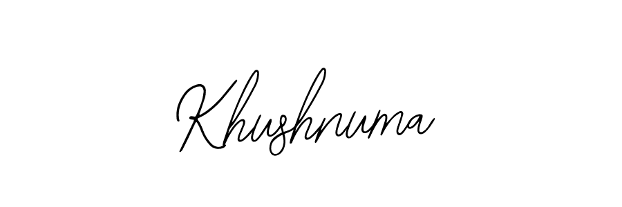 You should practise on your own different ways (Bearetta-2O07w) to write your name (Khushnuma) in signature. don't let someone else do it for you. Khushnuma signature style 12 images and pictures png