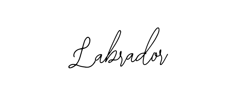 It looks lik you need a new signature style for name Labrador. Design unique handwritten (Bearetta-2O07w) signature with our free signature maker in just a few clicks. Labrador signature style 12 images and pictures png