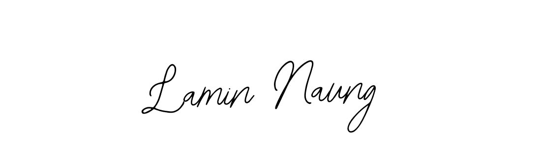 Make a beautiful signature design for name Lamin Naung. Use this online signature maker to create a handwritten signature for free. Lamin Naung signature style 12 images and pictures png