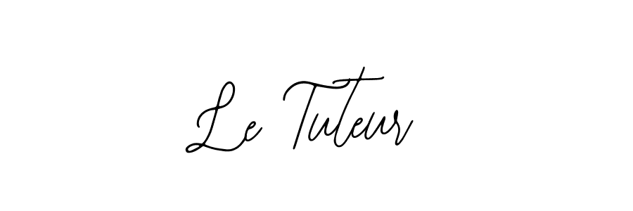 Create a beautiful signature design for name Le Tuteur. With this signature (Bearetta-2O07w) fonts, you can make a handwritten signature for free. Le Tuteur signature style 12 images and pictures png