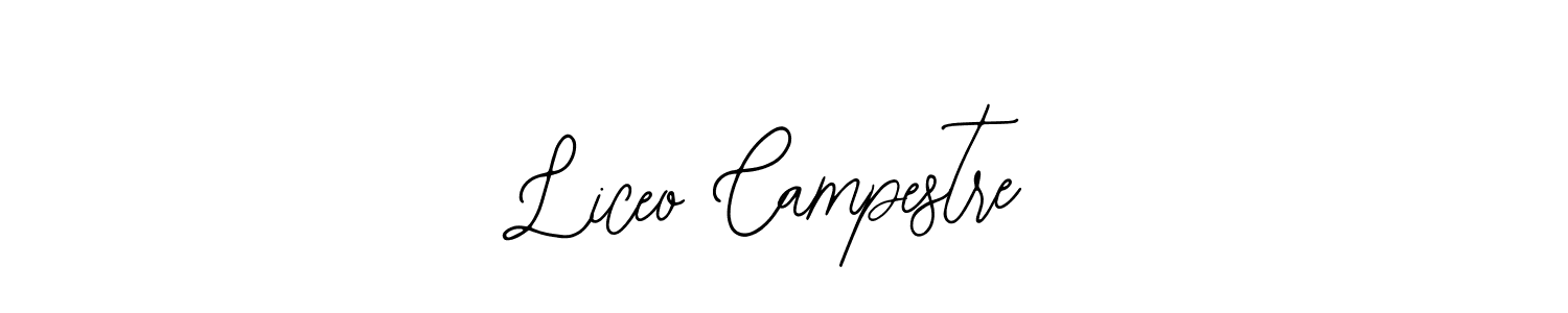 Design your own signature with our free online signature maker. With this signature software, you can create a handwritten (Bearetta-2O07w) signature for name Liceo Campestre. Liceo Campestre signature style 12 images and pictures png