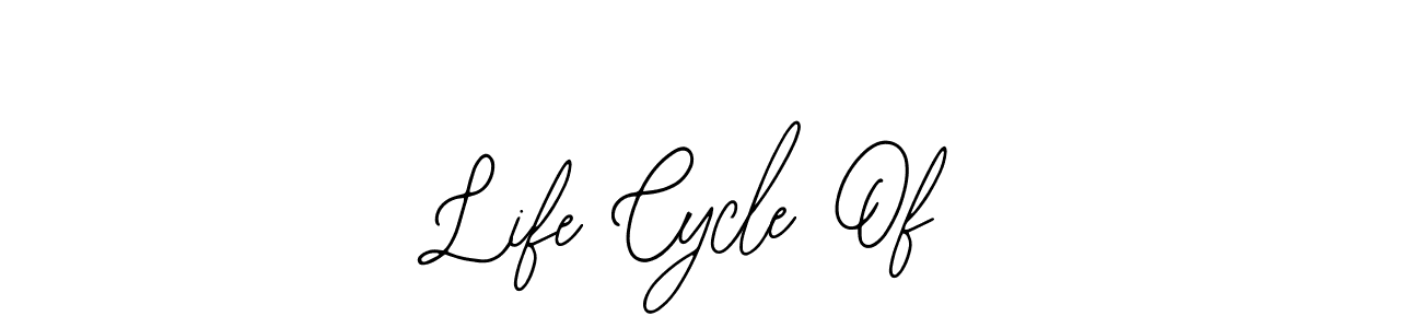 Also we have Life Cycle Of name is the best signature style. Create professional handwritten signature collection using Bearetta-2O07w autograph style. Life Cycle Of signature style 12 images and pictures png
