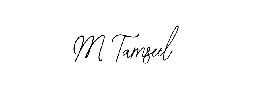 You should practise on your own different ways (Bearetta-2O07w) to write your name (M Tamseel) in signature. don't let someone else do it for you. M Tamseel signature style 12 images and pictures png