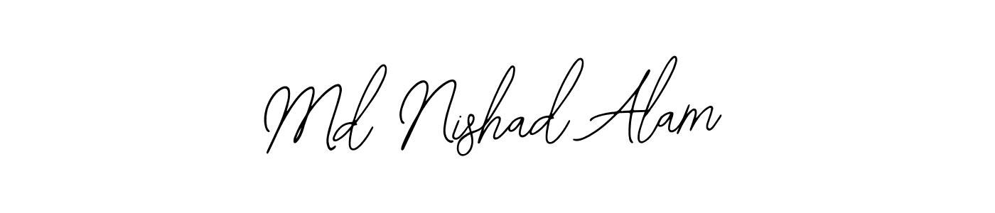 Here are the top 10 professional signature styles for the name Md Nishad Alam. These are the best autograph styles you can use for your name. Md Nishad Alam signature style 12 images and pictures png