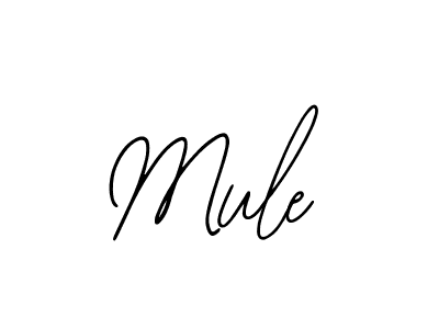 Use a signature maker to create a handwritten signature online. With this signature software, you can design (Bearetta-2O07w) your own signature for name Mule. Mule signature style 12 images and pictures png
