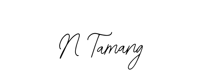 Here are the top 10 professional signature styles for the name N Tamang. These are the best autograph styles you can use for your name. N Tamang signature style 12 images and pictures png