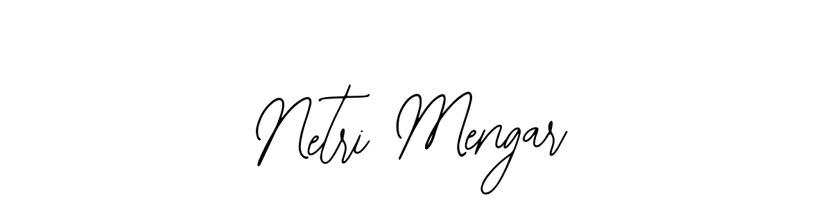 Use a signature maker to create a handwritten signature online. With this signature software, you can design (Bearetta-2O07w) your own signature for name Netri Mengar. Netri Mengar signature style 12 images and pictures png