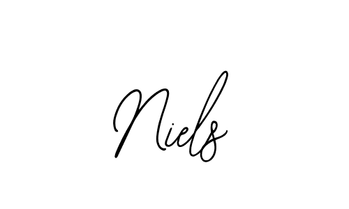 Make a beautiful signature design for name Niels. Use this online signature maker to create a handwritten signature for free. Niels signature style 12 images and pictures png