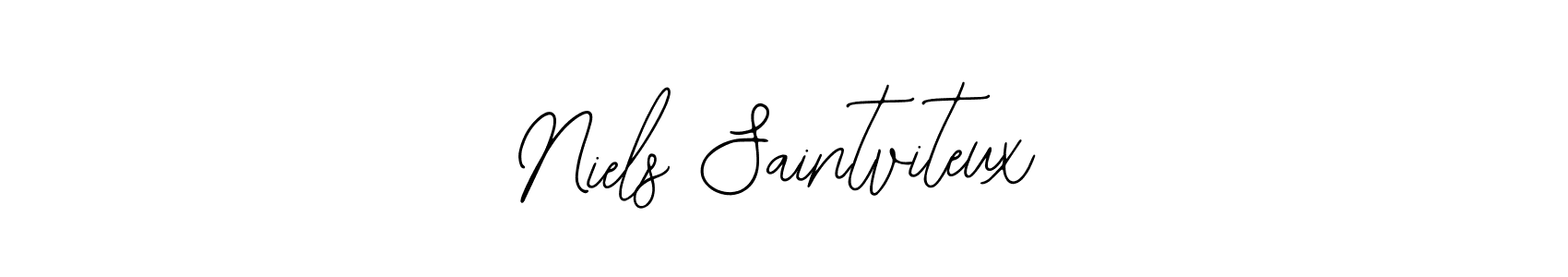 You can use this online signature creator to create a handwritten signature for the name Niels Saintviteux. This is the best online autograph maker. Niels Saintviteux signature style 12 images and pictures png