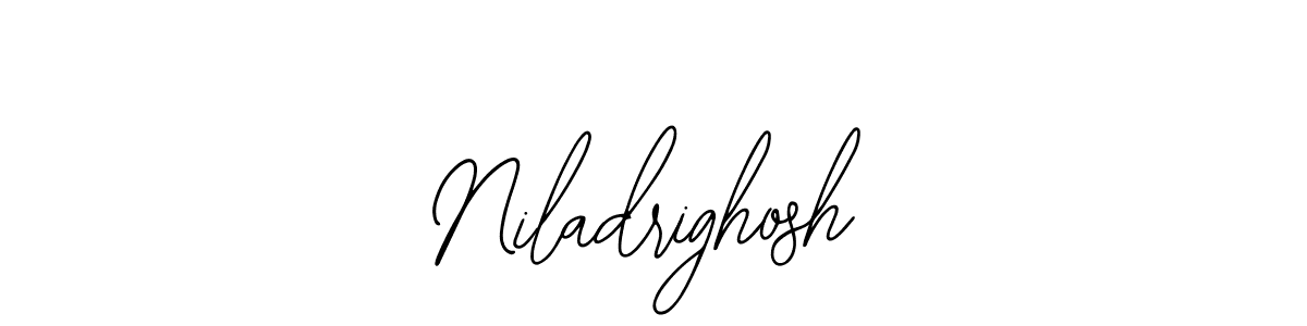 Make a beautiful signature design for name Niladrighosh. Use this online signature maker to create a handwritten signature for free. Niladrighosh signature style 12 images and pictures png