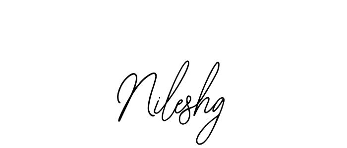 Design your own signature with our free online signature maker. With this signature software, you can create a handwritten (Bearetta-2O07w) signature for name Nileshg. Nileshg signature style 12 images and pictures png