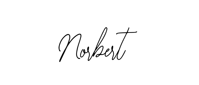 You can use this online signature creator to create a handwritten signature for the name Norbert. This is the best online autograph maker. Norbert signature style 12 images and pictures png