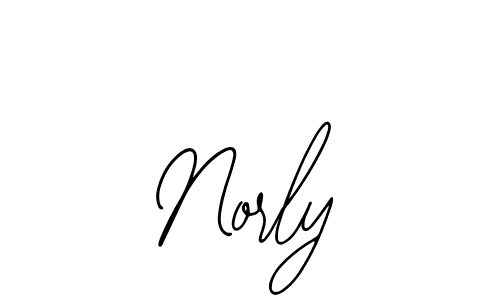 Design your own signature with our free online signature maker. With this signature software, you can create a handwritten (Bearetta-2O07w) signature for name Norly. Norly signature style 12 images and pictures png