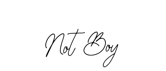 Make a beautiful signature design for name Not Boy. Use this online signature maker to create a handwritten signature for free. Not Boy signature style 12 images and pictures png