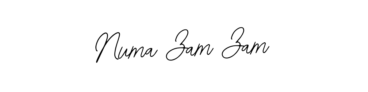 Also we have Numa Zam Zam name is the best signature style. Create professional handwritten signature collection using Bearetta-2O07w autograph style. Numa Zam Zam signature style 12 images and pictures png