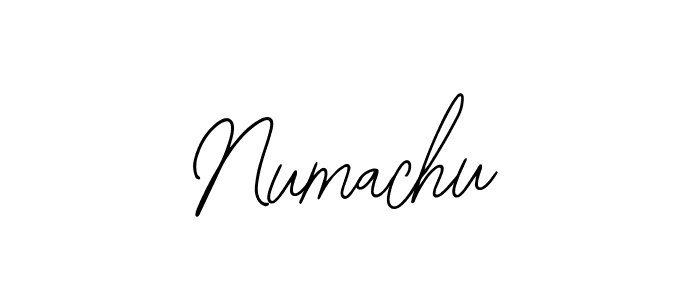 Make a beautiful signature design for name Numachu. Use this online signature maker to create a handwritten signature for free. Numachu signature style 12 images and pictures png