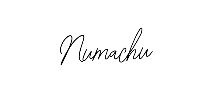 You should practise on your own different ways (Bearetta-2O07w) to write your name (Numachu) in signature. don't let someone else do it for you. Numachu signature style 12 images and pictures png