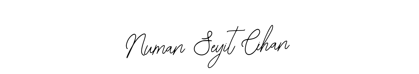 Make a beautiful signature design for name Numan Seyit Cihan. Use this online signature maker to create a handwritten signature for free. Numan Seyit Cihan signature style 12 images and pictures png