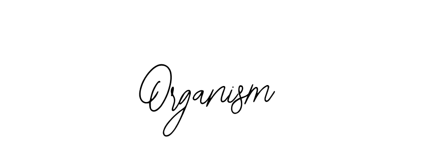 How to make Organism  signature? Bearetta-2O07w is a professional autograph style. Create handwritten signature for Organism  name. Organism  signature style 12 images and pictures png