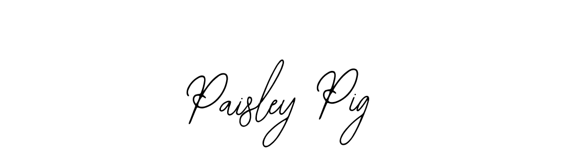 You should practise on your own different ways (Bearetta-2O07w) to write your name (Paisley Pig) in signature. don't let someone else do it for you. Paisley Pig signature style 12 images and pictures png