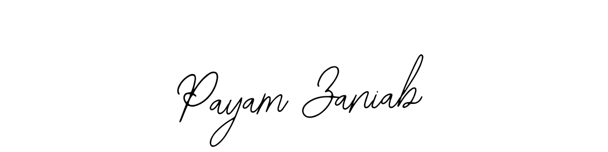 Best and Professional Signature Style for Payam Zaniab. Bearetta-2O07w Best Signature Style Collection. Payam Zaniab signature style 12 images and pictures png