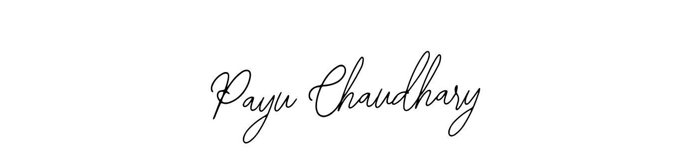 Make a beautiful signature design for name Payu Chaudhary. Use this online signature maker to create a handwritten signature for free. Payu Chaudhary signature style 12 images and pictures png