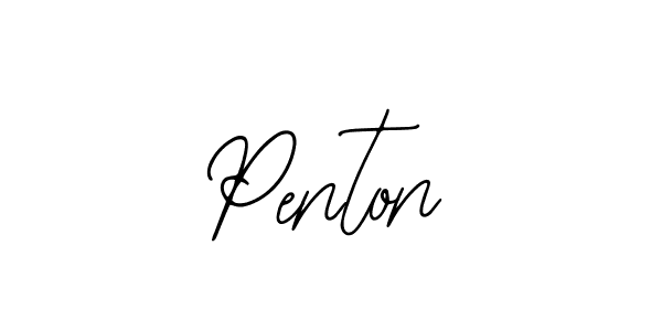 You should practise on your own different ways (Bearetta-2O07w) to write your name (Penton) in signature. don't let someone else do it for you. Penton signature style 12 images and pictures png