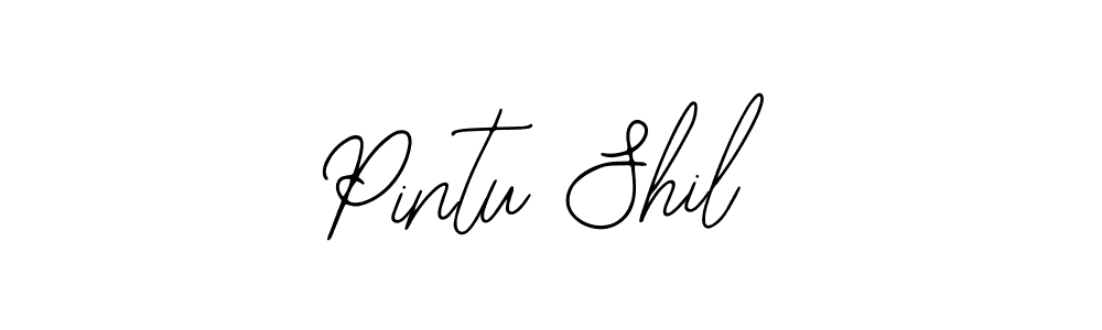 Best and Professional Signature Style for Pintu Shil. Bearetta-2O07w Best Signature Style Collection. Pintu Shil signature style 12 images and pictures png